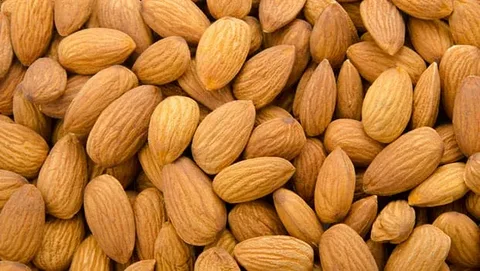 تصویر 2 از خرید بادام درختی ایرانی + قیمت عالی باکیفیت
